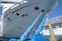 2009-03-01_florida-bahamas_0687