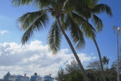 2009-03-01_florida-bahamas_0841
