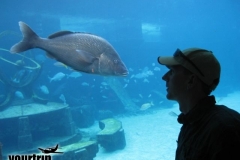 2009-03-01_florida-bahamas_0921