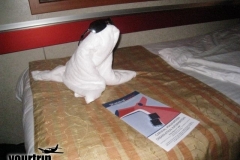 2009-03-01_florida-bahamas_1072