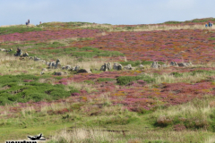 Gross-2023-08-20-UK-Tour-mit-Willy-00061