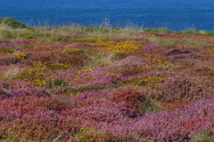 Gross-2023-08-20-UK-Tour-mit-Willy-00143