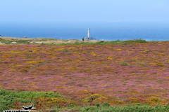 Gross-2023-08-20-UK-Tour-mit-Willy-00170