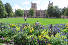 Gross-2023-08-22-UK-Tour-mit-Willy-00050