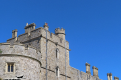 Gross-2023-08-23-UK-Tour-mit-Willy-00034