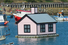 Gross-2023-08-23-UK-Tour-mit-Willy-00072