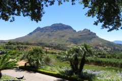 7583938560_IMG_6210-EFFECTS