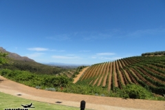 7583938560_IMG_6229-EFFECTS