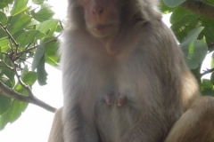 2012-11-20_china-reise_012250