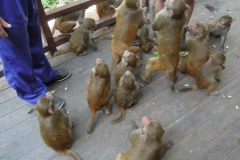 2012-11-20_china-reise_012310