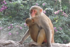 2012-11-20_china-reise_012380