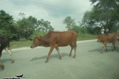 2012-11-20_china-reise_012610