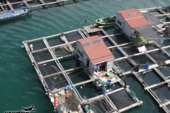 2012-11-20_china-reise_012790