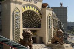 Gross-20250130_041128906_iOS