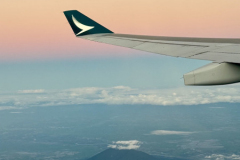 Gross-20250116_095606558_iOS