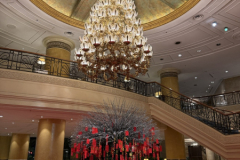 Gross-20250116_140522590_iOS