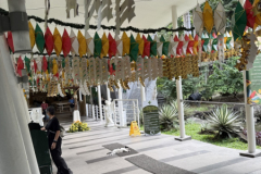 Gross-20250117_014337430_iOS