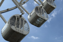 Gross-20250117_030611839_iOS-1-1