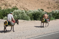 2005-09-13_marokko_0532