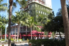 2009-03-01_florida-bahamas_2468