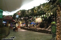 2009-03-01_florida-bahamas_2536