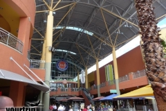 2009-03-01_florida-bahamas_2620