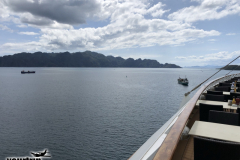 Gross-20250119_050243253_iOS