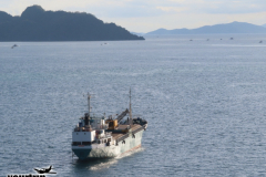 Gross-20250119_092324970_iOS