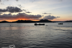 Gross-20250119_095255498_iOS