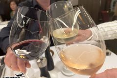 Gross-20250119_121000837_iOS