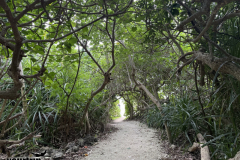 Gross-20250122_044738461_iOS