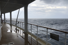 Gross-20250123_072025113_iOS