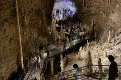 Gross-20250124_021148489_iOS