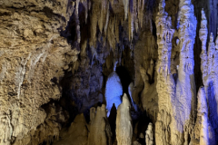 Gross-20250124_021341965_iOS