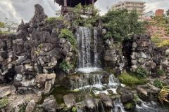 Gross-20250124_063917102_iOS