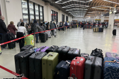 Gross-20250127_013712336_iOS