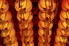 Gross-20250127_065715154_iOS-1