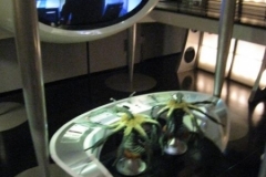 2009-03-01_florida-bahamas_2161