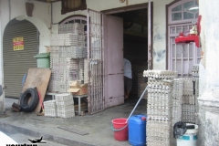 2004-03-10_penang_0117