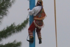 2003-07_urlaub_florida+mexico_1237