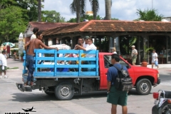 2003-07_urlaub_florida+mexico_1268