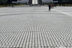 Gross-20250128_035822055_iOS