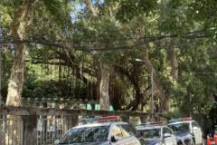 Gross-20250128_041727357_iOS