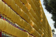 Gross-20250128_074321741_iOS